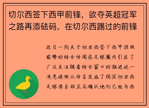 切尔西签下西甲前锋，欲夺英超冠军之路再添砝码，在切尔西踢过的前锋
