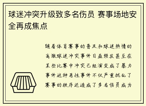 球迷冲突升级致多名伤员 赛事场地安全再成焦点 球迷冲突升级致多名伤员 赛事场地安全再成焦点